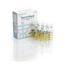 Buy NandroRapid - buy in New Zealand [Nandrolone Phenylpropionate 100mg 10 ampoules]